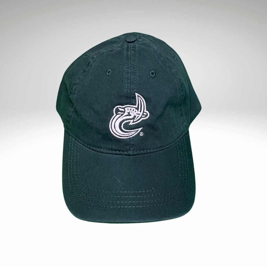 Retro Charlotte 49ers Dad Hat