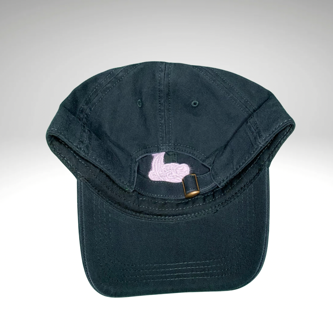 Retro Charlotte 49ers Dad Hat
