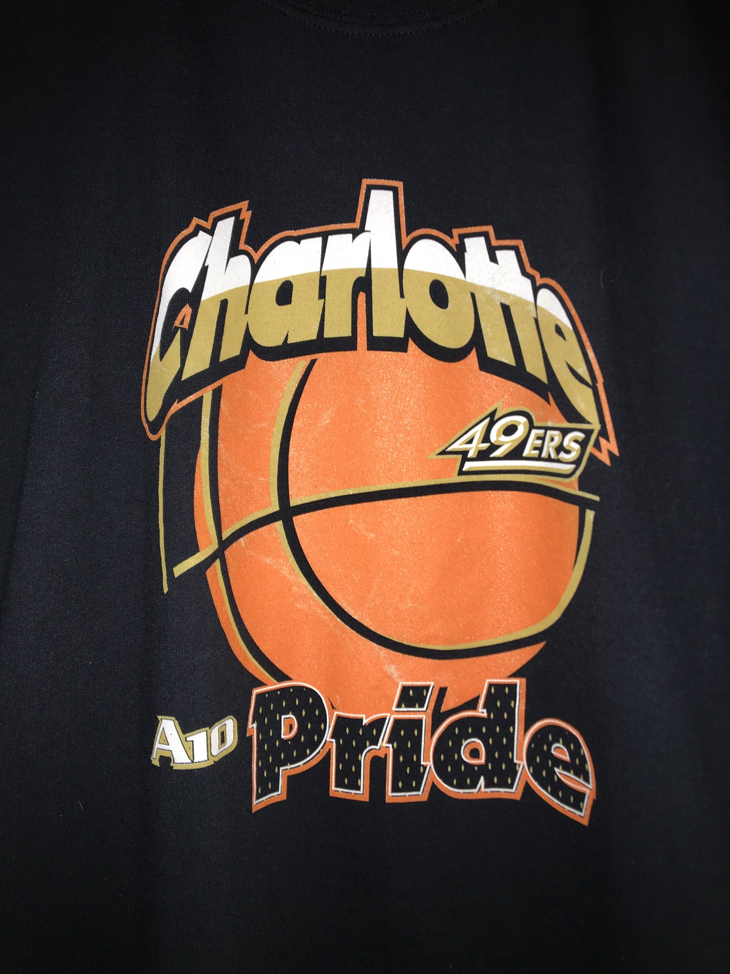 Charlotte 49ers Pride A10 Tee