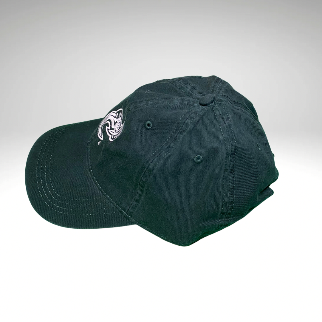 Retro Charlotte 49ers Dad Hat