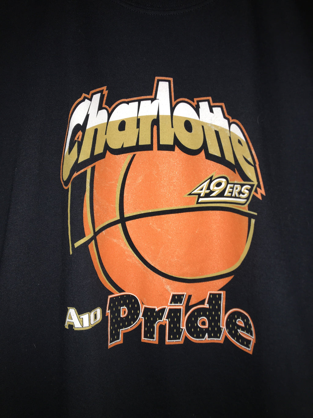 Charlotte 49ers Pride A10 Tee