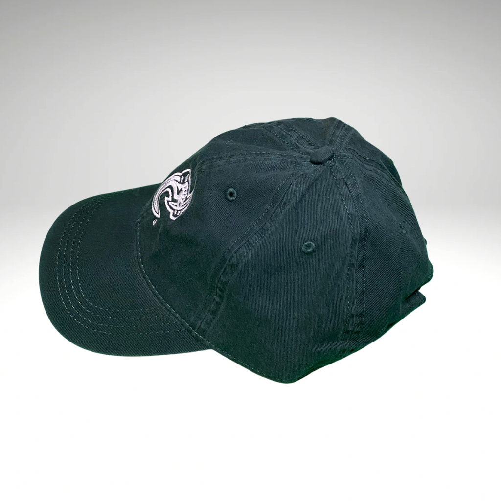 Retro Charlotte 49ers Dad Hat